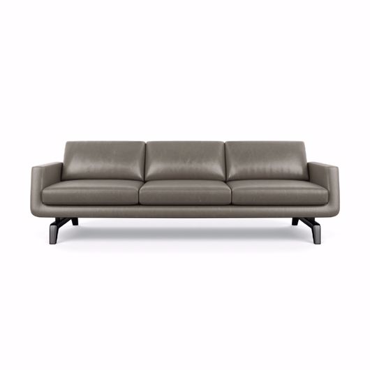 Picture of NASH SOFA